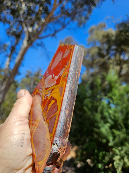 Polished Noreena Jasper slab. NJ493