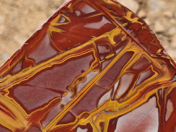 Polished Noreena Jasper slab. NJ493