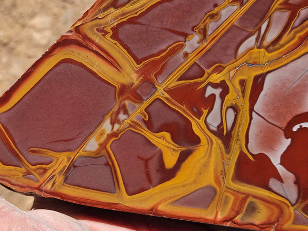 Polished Noreena Jasper slab. NJ493