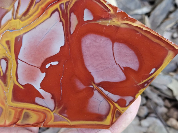 Polished Noreena Jasper slab. NJ493