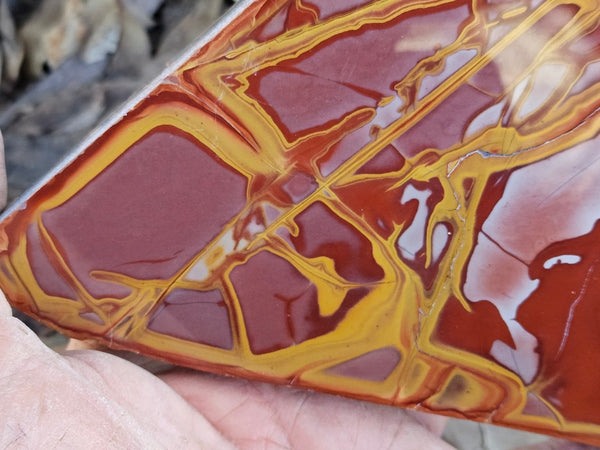 Polished Noreena Jasper slab. NJ493