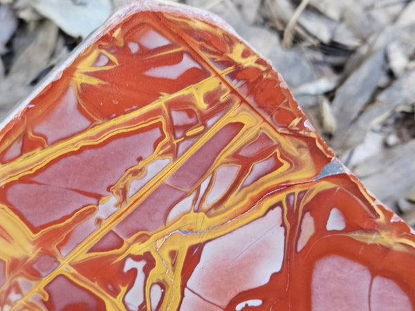 Polished Noreena Jasper slab. NJ493
