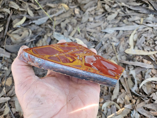 Polished Noreena Jasper slab. NJ493