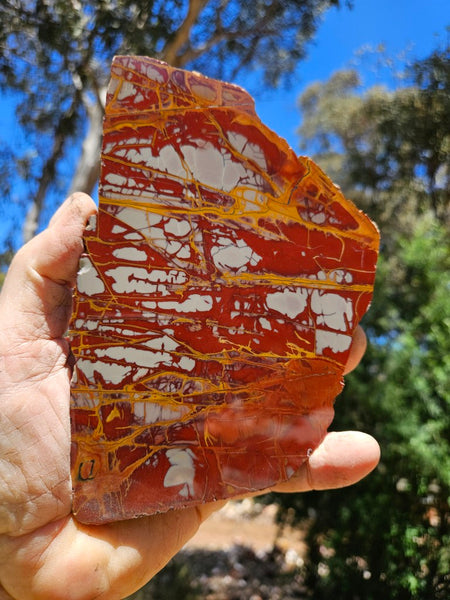 Polished Noreena Jasper slab. NJ494