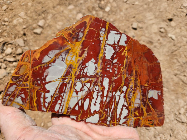 Polished Noreena Jasper slab. NJ494