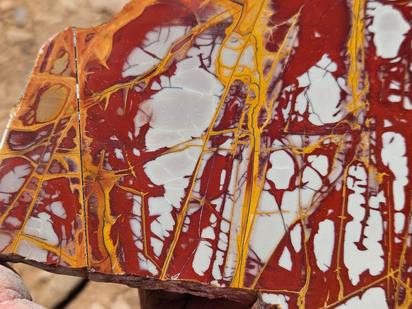 Polished Noreena Jasper slab. NJ494