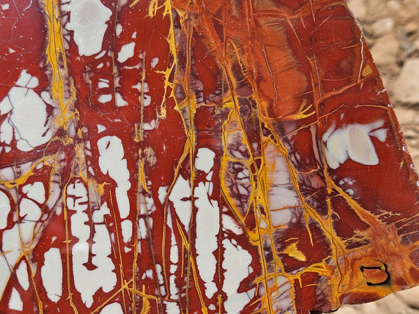 Polished Noreena Jasper slab. NJ494