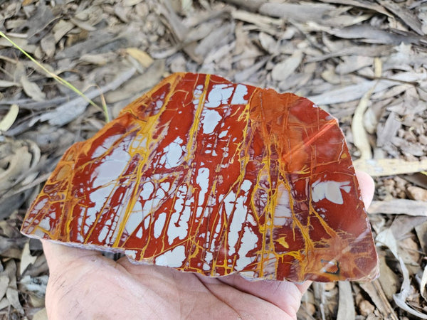 Polished Noreena Jasper slab. NJ494