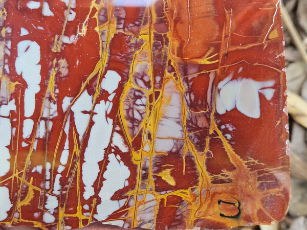 Polished Noreena Jasper slab. NJ494