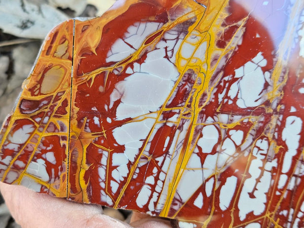 Polished Noreena Jasper slab. NJ494