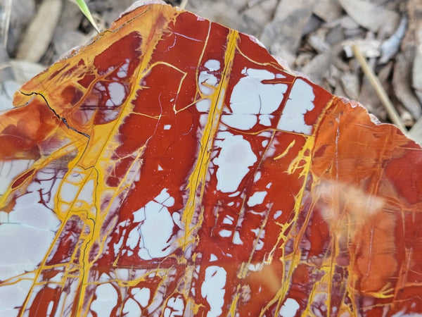 Polished Noreena Jasper slab. NJ494