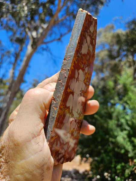 Polished Noreena Jasper slab. NJ495
