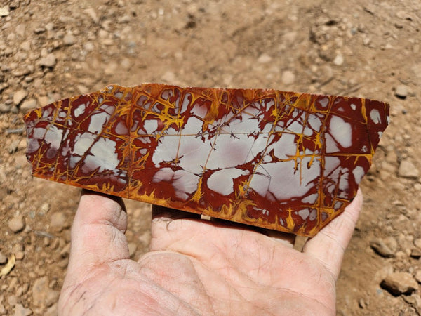 Polished Noreena Jasper slab. NJ495