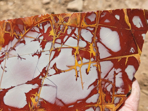 Polished Noreena Jasper slab. NJ495