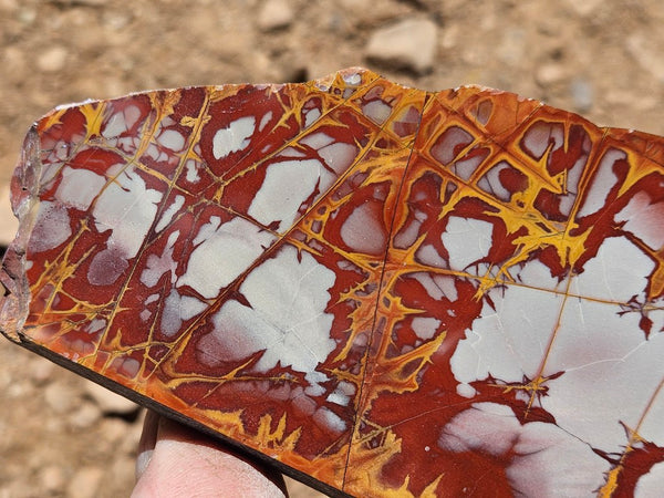 Polished Noreena Jasper slab. NJ495