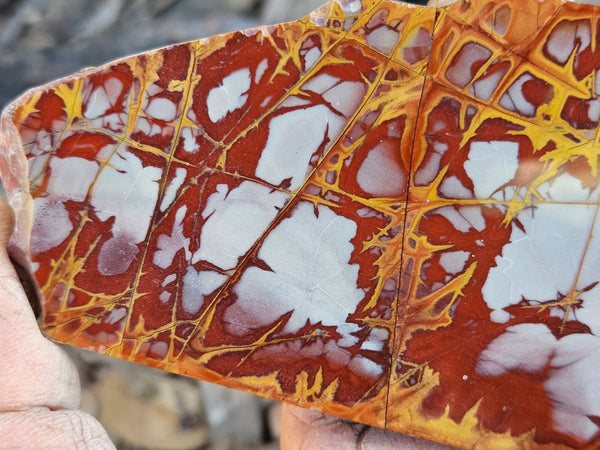Polished Noreena Jasper slab. NJ495