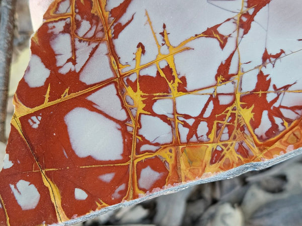 Polished Noreena Jasper slab. NJ495