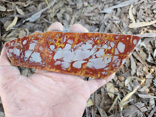 Polished Noreena Jasper slab. NJ495
