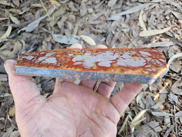 Polished Noreena Jasper slab. NJ495