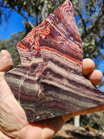 Polished  Snakeskin Jasper slab SS220