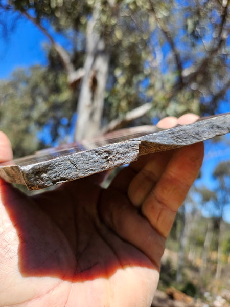Polished  Snakeskin Jasper slab SS220