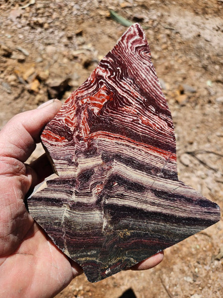 Polished  Snakeskin Jasper slab SS220