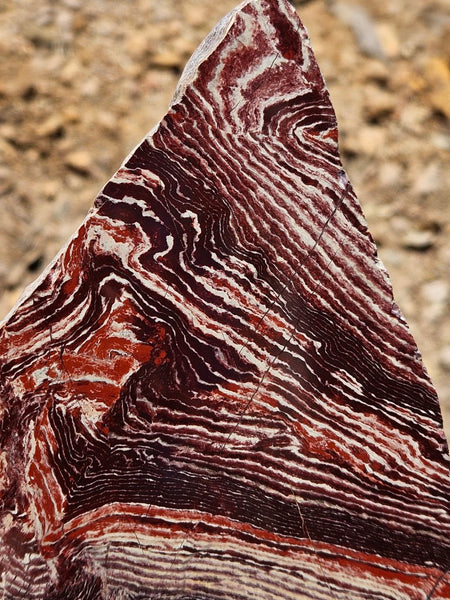 Polished  Snakeskin Jasper slab SS220