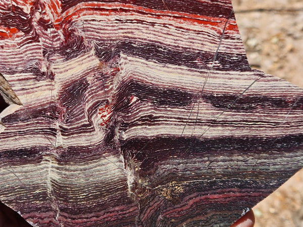 Polished  Snakeskin Jasper slab SS220