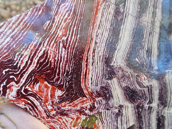 Polished  Snakeskin Jasper slab SS220