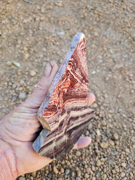 Polished  Snakeskin Jasper slab SS220