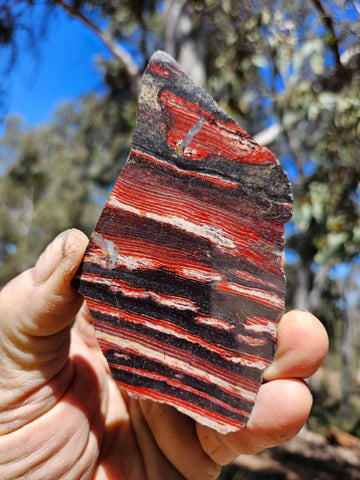 Polished  Snakeskin Jasper slab SS221