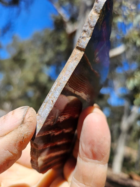 Polished  Snakeskin Jasper slab SS221