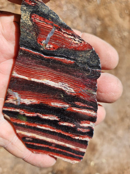 Polished  Snakeskin Jasper slab SS221