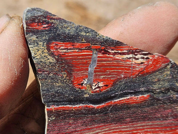 Polished  Snakeskin Jasper slab SS221