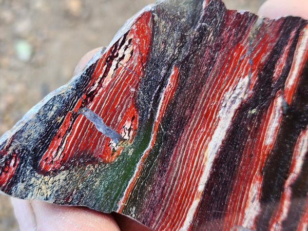 Polished  Snakeskin Jasper slab SS221