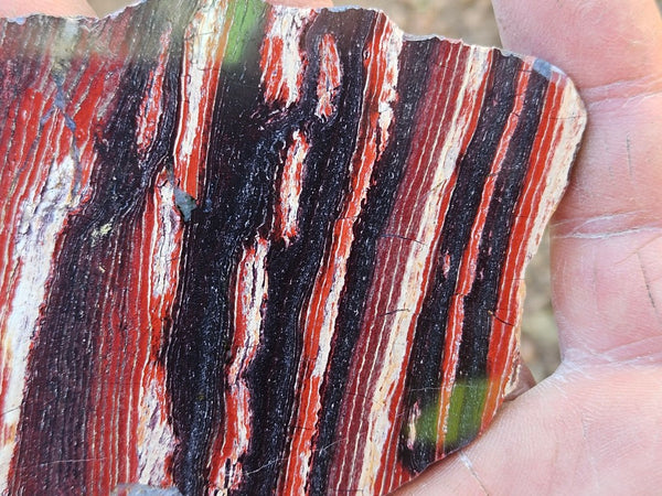 Polished  Snakeskin Jasper slab SS221