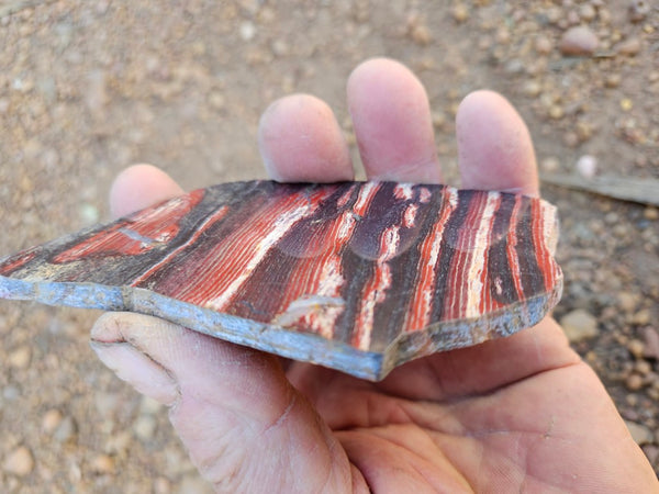 Polished  Snakeskin Jasper slab SS221