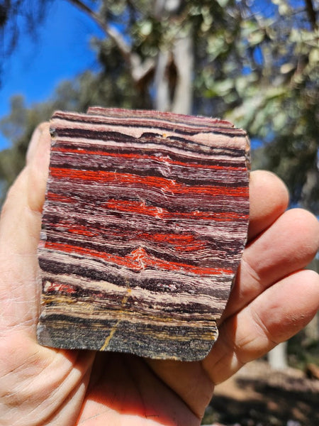 Polished Snakeskin Jasper SS217