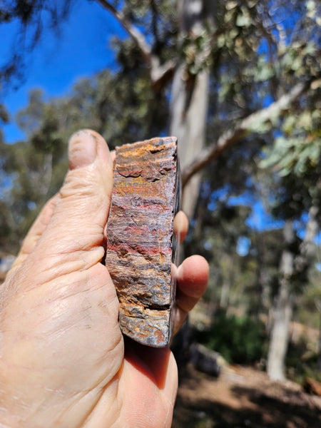 Polished Snakeskin Jasper SS217