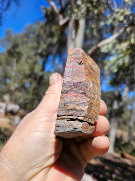 Polished Snakeskin Jasper SS217