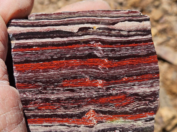 Polished Snakeskin Jasper SS217