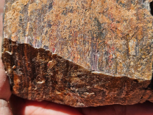 Polished Snakeskin Jasper SS217