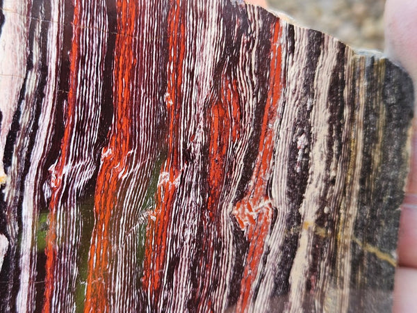 Polished Snakeskin Jasper SS217