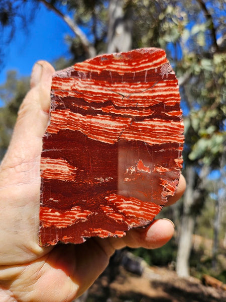 Polished Snakeskin Jasper SS218