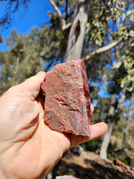 Polished Snakeskin Jasper SS218