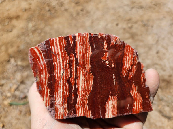 Polished Snakeskin Jasper SS218