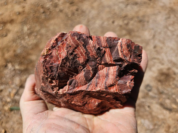 Polished Snakeskin Jasper SS218