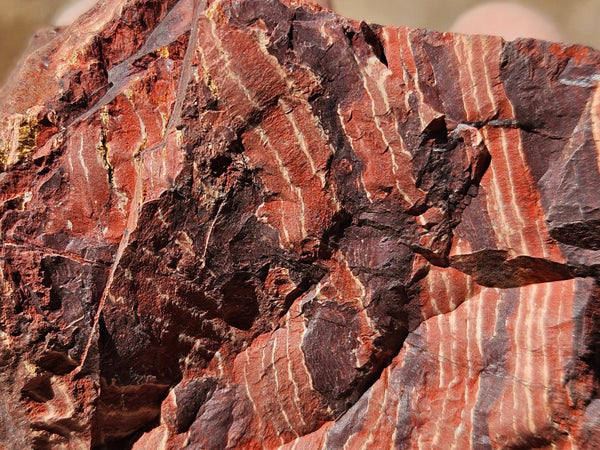 Polished Snakeskin Jasper SS218