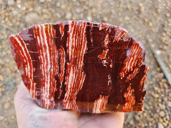 Polished Snakeskin Jasper SS218