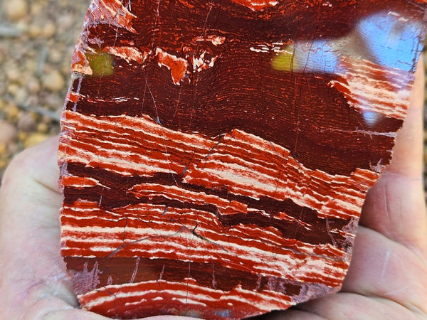 Polished Snakeskin Jasper SS218